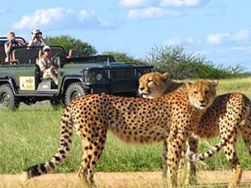 Madikwe Game Reserve Safari